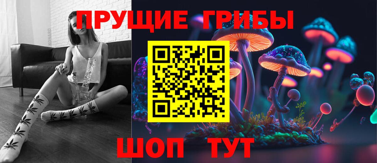 Севастополь  Галлюциногенные грибы мицелий  Вход с VPN  Галлюциногенные грибы GOLDEN TEACHER 